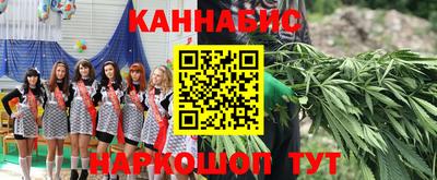 индика Коммунар