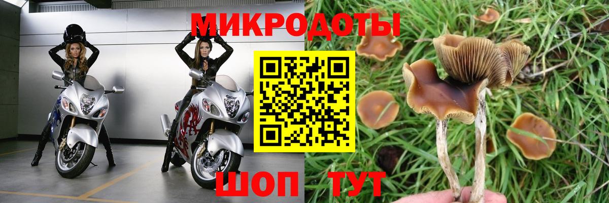 Псилоцибиновые грибы Magic Shrooms  купить  сайты  Алапаевск  Вход с VPN 